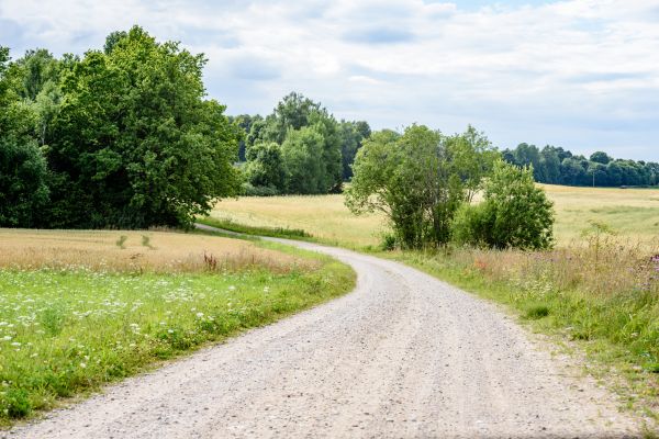 Stone Driveway Repair in Columbus